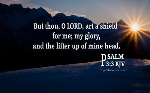 Psalm-3-3-But-thou-O-LORD-art-a-shield-for-me-2