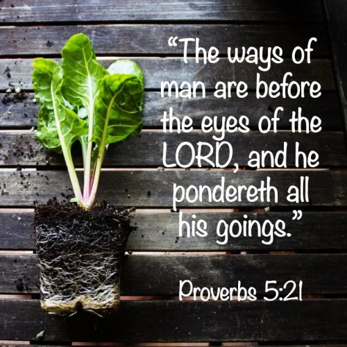 Proverbs 5:21