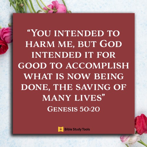 Genesis 50:20: You intended to harm me, but God intended it for good to accomplish what is now being done, the saving of many lives.